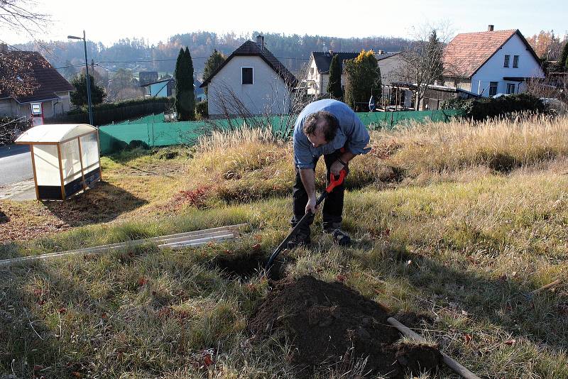 Přesazování lip v Peceradech na podzim 2021.