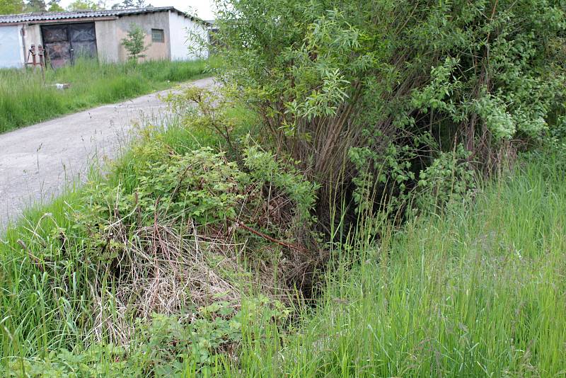 Udržet vodu v městské krajině pomůže v Týnci nad Sázavou výstavba tůněk na strouze mezi garážemi a ulicí K Zeleným vratům.