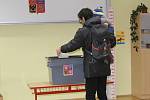 Závěrečné střípky z prezidentských voleb v Líšně a Bystřici