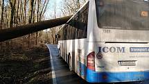 Spadlý strom na autobus na silnici mezi Benešovem a Konopištěm.