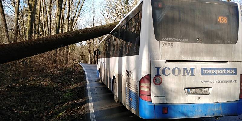 Spadlý strom na autobus na silnici mezi Benešovem a Konopištěm.