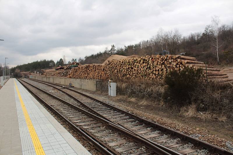 Štěpkování dřeva na pile v Peceradech.