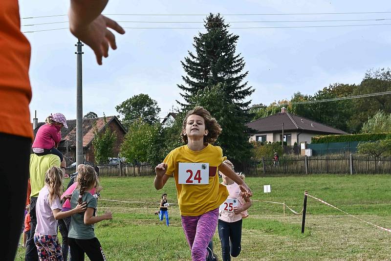 Zaječický bůr 2020. Foto: Richard Karban