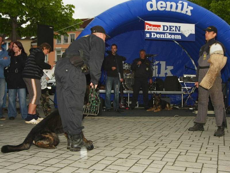 Prima Den s Deníkem 2009