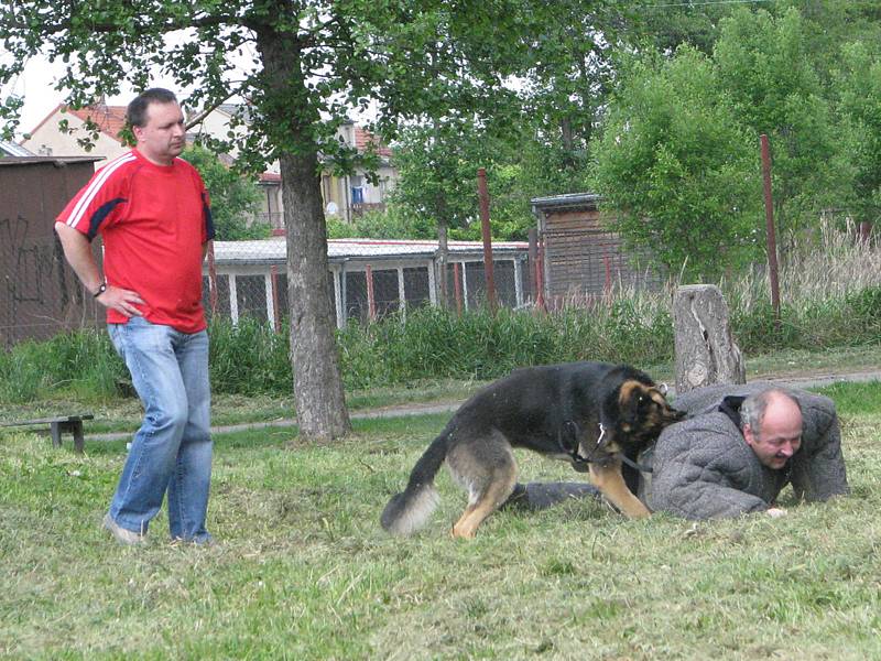 Policejní psovodi předvedli školákům čtyřnohé parťáky.