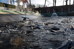 Areál sádek Papírna společnosti Líšno v Konopišti.