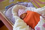 Rozálie Růžičková se manželům Natálii a Karlovi narodila v benešovské nemocnici 10. září 2021 20.29 hodin, vážila 2550 gramů. Rodina bydlí v Říčanech.