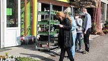 Na Zelený čtvrtek zákazníci vyrazili ve velkém za nákupy - Zahradnictví Dandyland Týnec nad Sázavou.