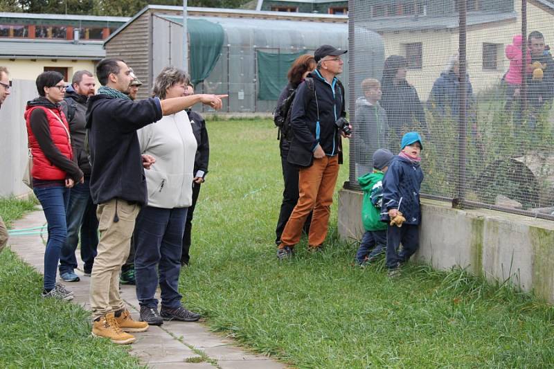 Nemocná zvířata našla domov v záchranné stanici v Pavlovicích.