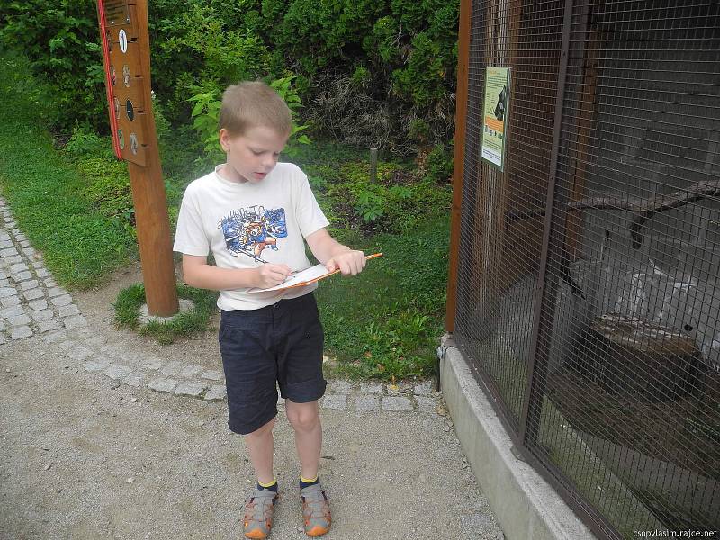 Malí táborníci si s ochránci přírody užili různorodý program.