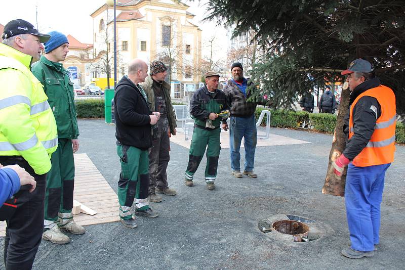 Transport a instalace vánočního stromu na Masarykovo náměstí.