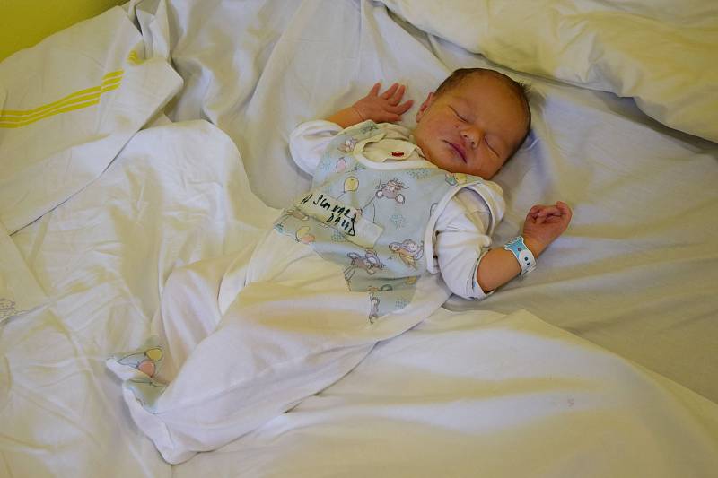 David Schwarz se Michaele Petráskové a Michalu Schwarzovi narodil v benešovské nemocnici 16. srpna 2021 ve 4.50 hodin, vážil 3530 gramů. Bydlištěm rodiny je Zruč nad Sázavou.