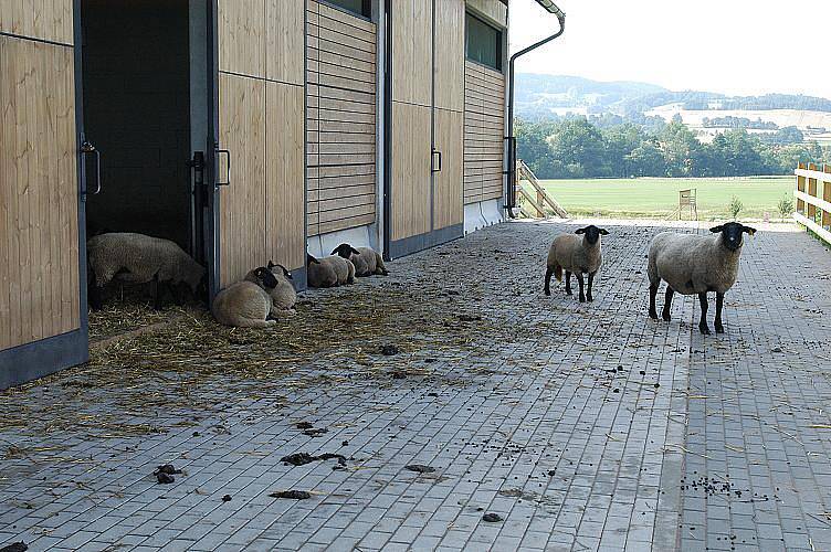 Ekocentrum Čapí hnízdo.