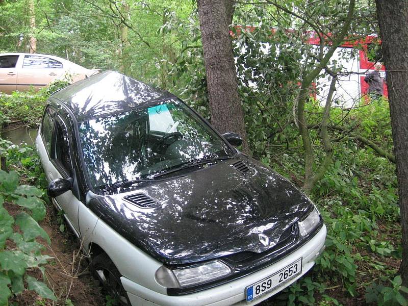 Renault skončil v lese u Dalešic