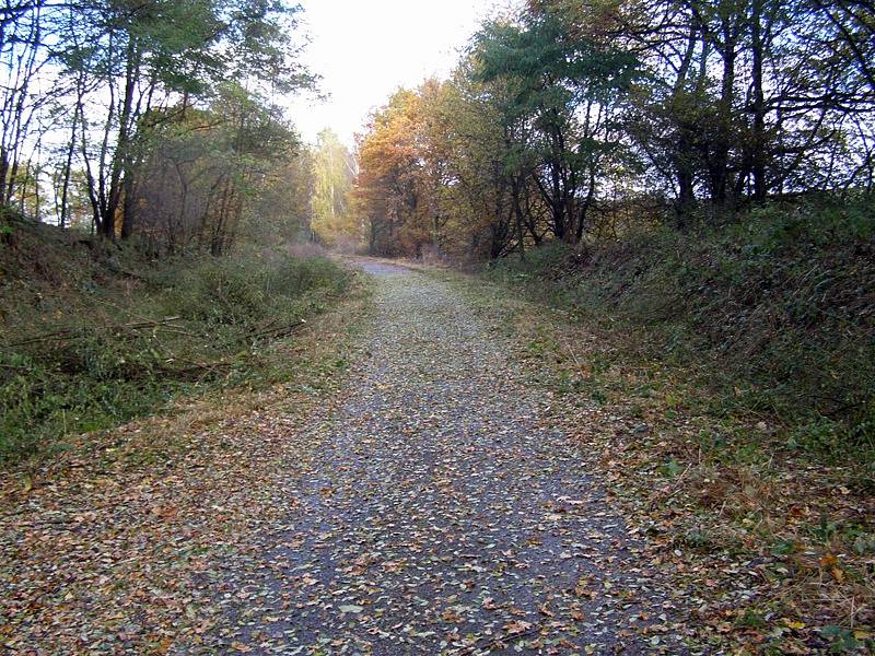 Zrušená železniční trať mezi Bystřicí a Olbramovicemi u Opřetic.