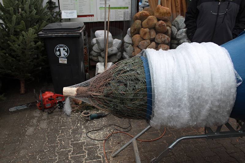 Prodej vánočních stromků v Zahradnictví v Čechově ulici v Benešově.
