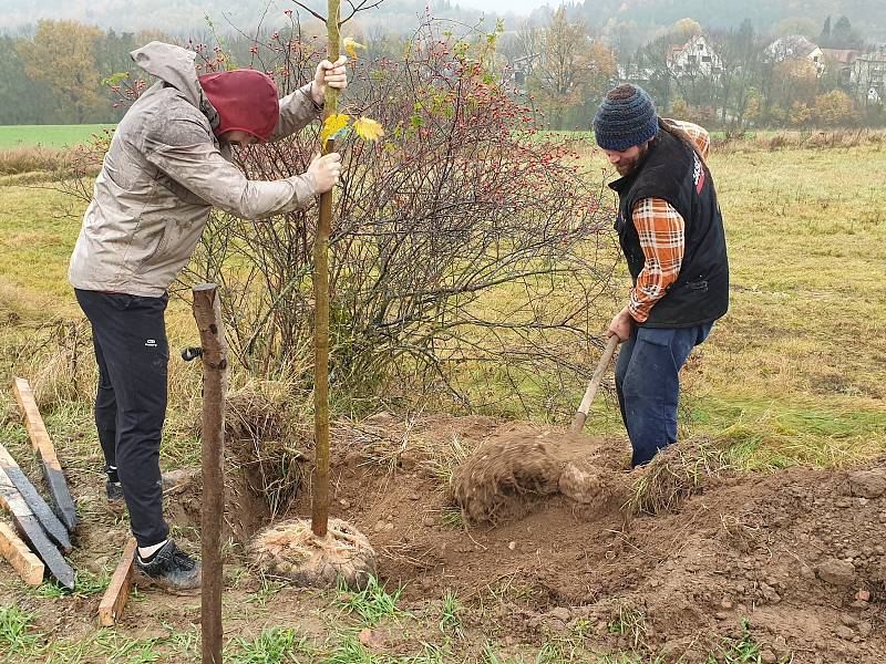 Okrouhličtí sázejí Alej živých, ve které bude mít každý obyvatel symbolicky vlastní strom.