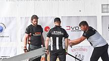 Z dřevorubecké soutěže Stihl Timbersports v zámeckém parku ve Vlašimi.