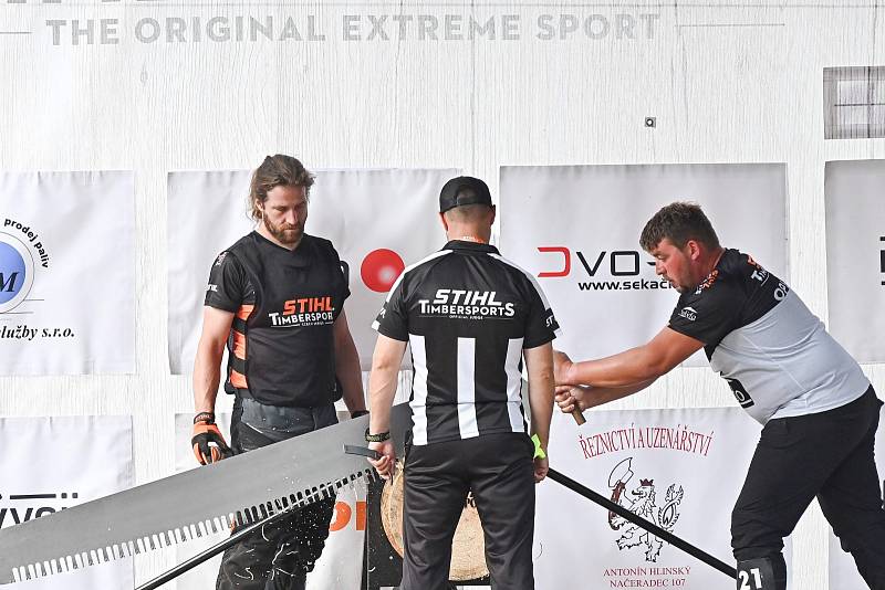 Z dřevorubecké soutěže Stihl Timbersports v zámeckém parku ve Vlašimi.