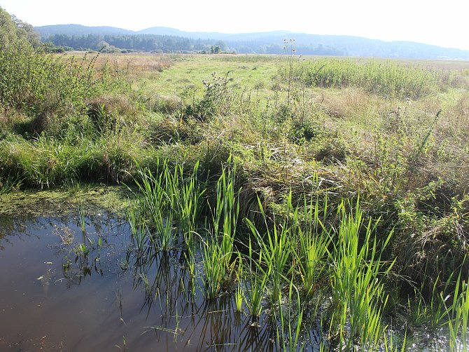 Zadržet vodu v krajině se chystají i ve Výrovicích, Běhařovicích a dalších obcích na Znojemsku. Ilustrační foto.