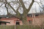 Požár střechy domku v Krňanech byl ohlášený v sobotu dopoledne v půl jedenácté, kdy už byla střecha zakouřená a bylo slyšet z podkroví praskání.