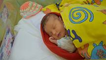 Lily Neufusová se Anetě Pohnánové a Jakubu Neufusovi narodila v benešovské nemocnici 23. listopadu 2021 v 18:17 hodin, vážila 3060 gramů. Doma v Zahrádce u Vojkova na ni čekal bratr Matěj (10).