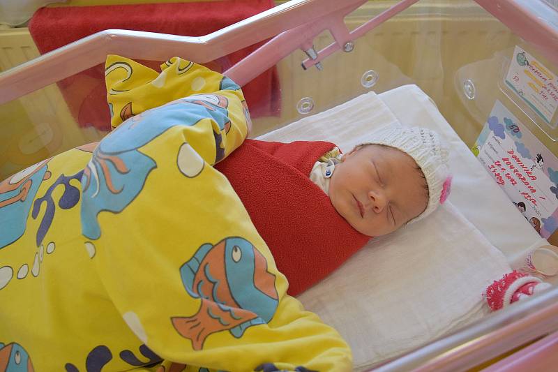 Dominika Houzarová se manželům Monice a Petrovi narodila v benešovské nemocnici 20. ledna 2022 v 13.52 hodin, vážila 3480 gramů. Bydlištěm rodiny je Mokrá Lhota (Bystřice).