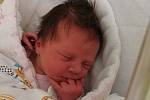 Stella Cardová se narodila 5. února 2021 v rakovnické nemocnici. Po porodu měřil 47 cm a vážil 3380 g. S maminkou Danielou Kubínovou, tatínkem Jiřím Cardou a bratrem Janem Václavem Cardou bude bydlet v Rudě.