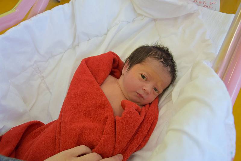 Vanessa Havlíková se Veronice a Dominikovi narodila v benešovské nemocnici 27. října 2022 ve 9.51 hodin, vážila 2420 gramů. Bydlištěm rodiny jsou Dojetřice.