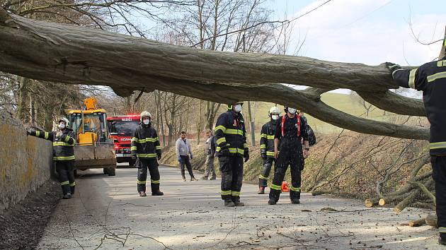 Spadlý strom na silnici mezi Smilkovem a Kouty.