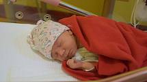 Aneta Balíková se Lucii a Michalovi narodila v benešovské nemocnici 28. listopadu 2022 v 17.02 hodin, vážila 3260 gramů. Doma ve Vrchotových Janovicích na ni čekal bratr Lukáš (8).