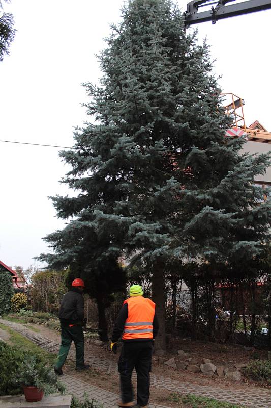 Převoz vánočního stromu na Masarykovo náměstí v Benešově.