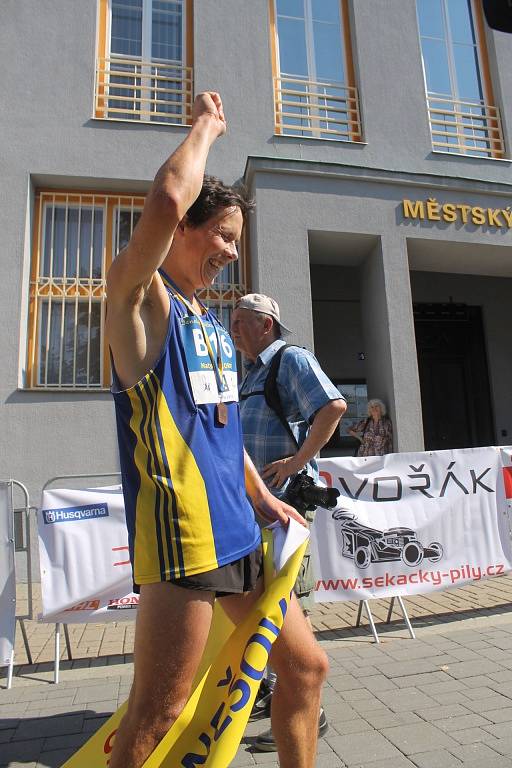 vyvrcholení Benešovského běžeckého festivalu, Benešovská desítka.