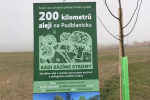 Délka nových alejí pod Blaníkem dosáhla 200 kilometrů