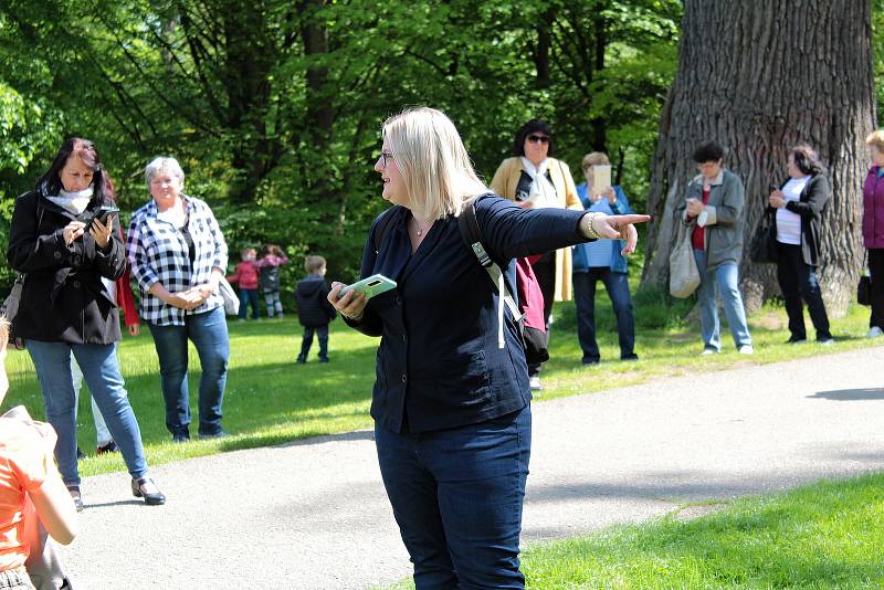 Setkání u dubu nazvaného Děd Vševěd ve vlašimském zámeckém parku.