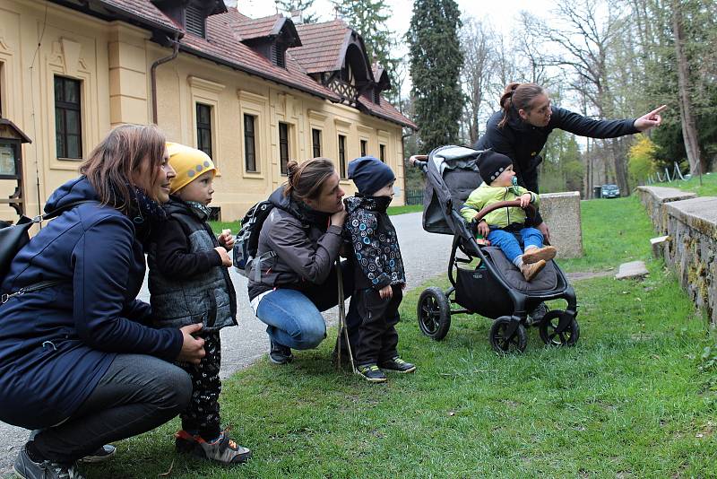 Z obůrky pro lesní zvěř v zámeckém parku na Konopišti.