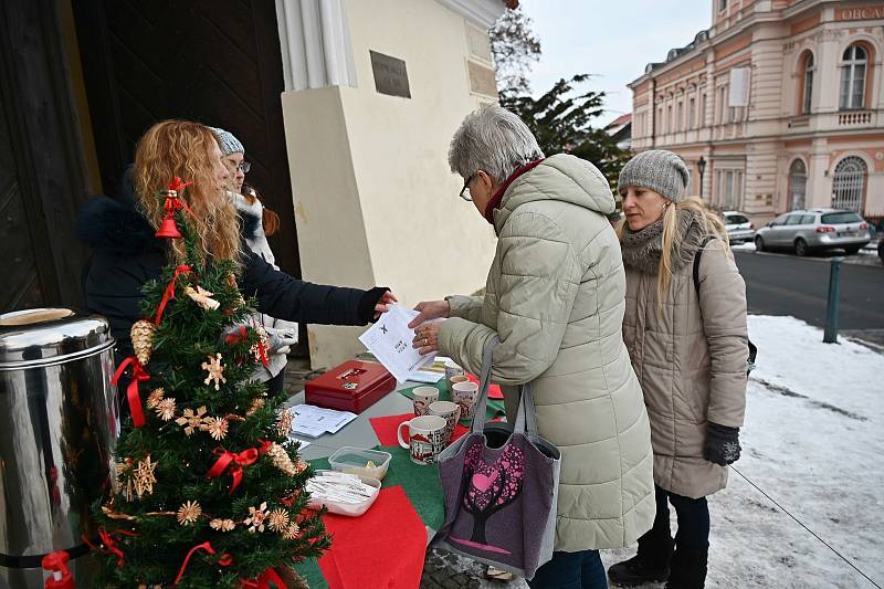 Z akce Krok za krokem ve Vlašimi.