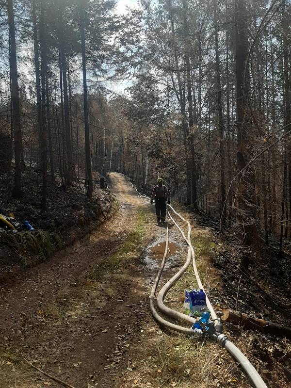 Pomoc středočeských hasičů při hašení požárů v Národním parku České Švýcarsko.