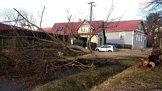 Popadané stromy, uvolněné plechy, tisíce domácností bez elektřiny. Vítr  řádil - Pražský deník