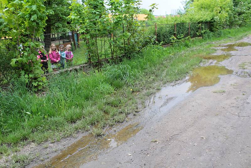 Udržet vodu v městské krajině pomůže v Týnci nad Sázavou výstavba tůněk na strouze mezi garážemi a ulicí K Zeleným vratům.