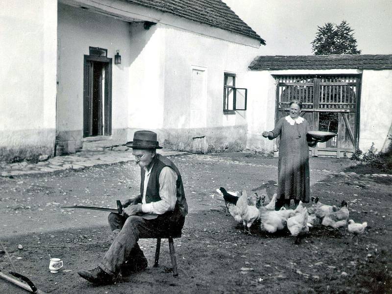 Zvířat si lidé z vesnic vážili. Dokládá to také péče o slípky ze strany Karla a Kateřiny Kopeckých z Peroupimi. Fotka v jejich dvoře vznikla kolem roku 1930.