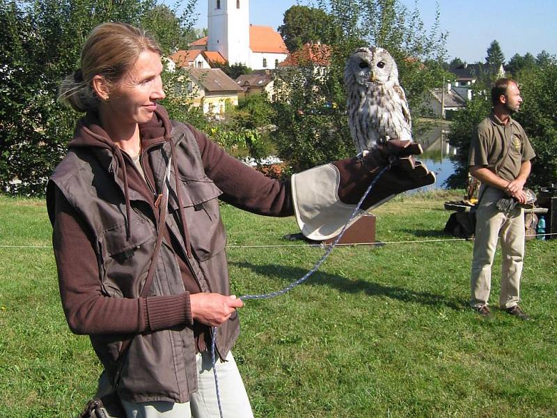 Vranovský program přehlídky hudeb doplnil sokolnický program. 