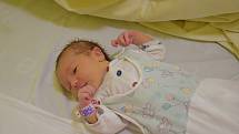 Rozárie Maiselová se Regině Maisel Pacovské a Jakubu Maiselovi narodila v benešovské nemocnici 19. března 2022 v 0.01 hodin, vážila 3370 gramů. Bydlištěm rodiny jsou Třebenice.