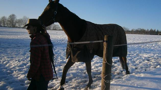 Chovatelka Martina Moricová s jedním z koní, o které se stará.