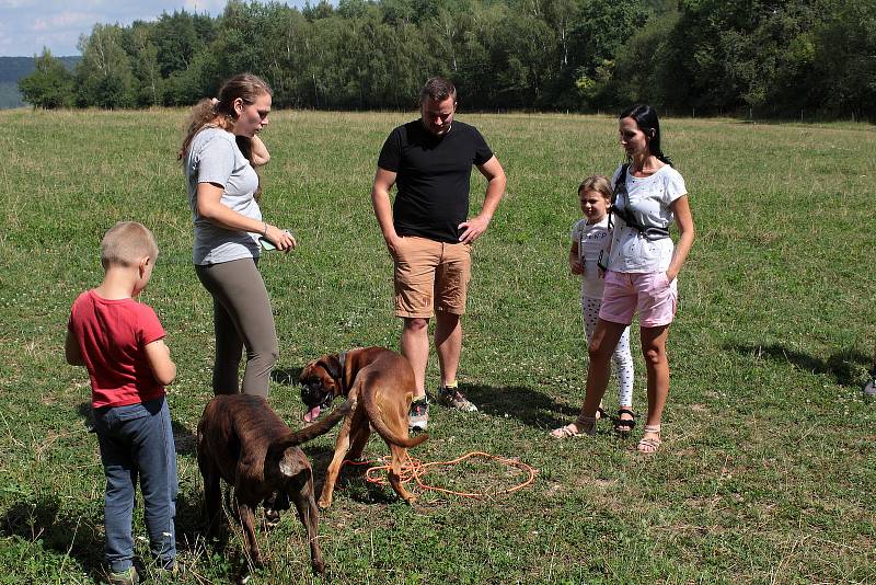 Ze setkání německých boxerů z chovatelské stanice Olymp Box na Podblanicku.