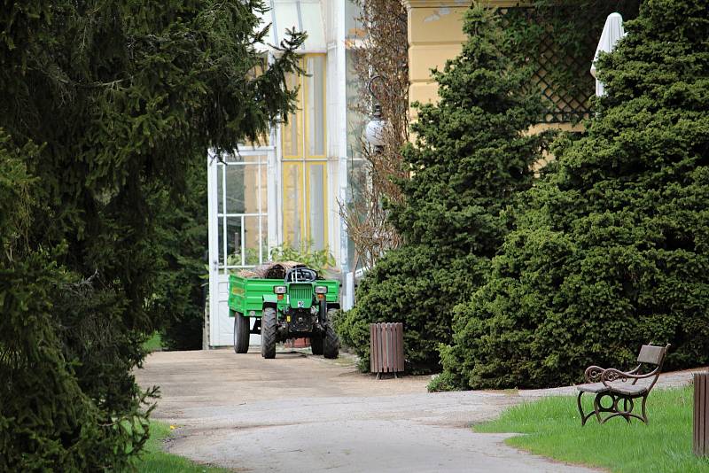 Konopišťská Růžová zahrada nabízí malebný pohled na vzhledné exteriéry, příjemně překvapí i tamější skleníky se zajímavou flórou.