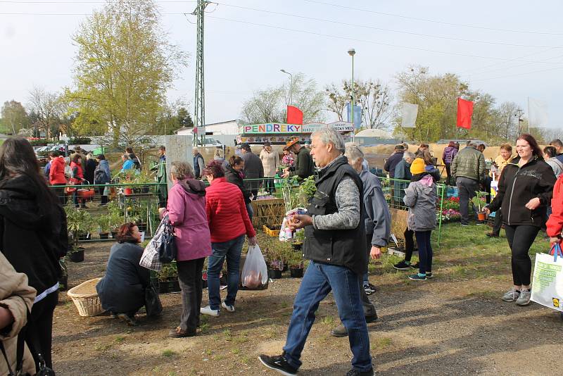 Prodejní výstava rostlin a drobného zvířectva ve Voticích.