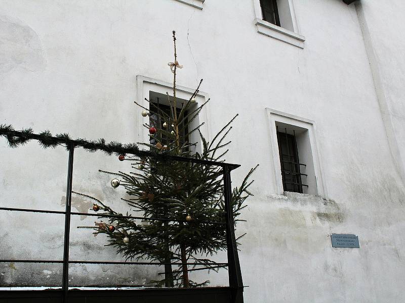 Vánoční výzdoba v areálu hradu v Týnci nad Sázavou.
