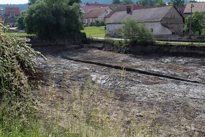 Pivovarský rybník v Louňovicích pod Blaníkem.