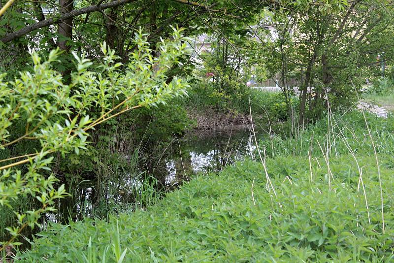 Udržet vodu v městské krajině pomůže v Týnci nad Sázavou výstavba tůněk na strouze mezi garážemi a ulicí K Zeleným vratům.